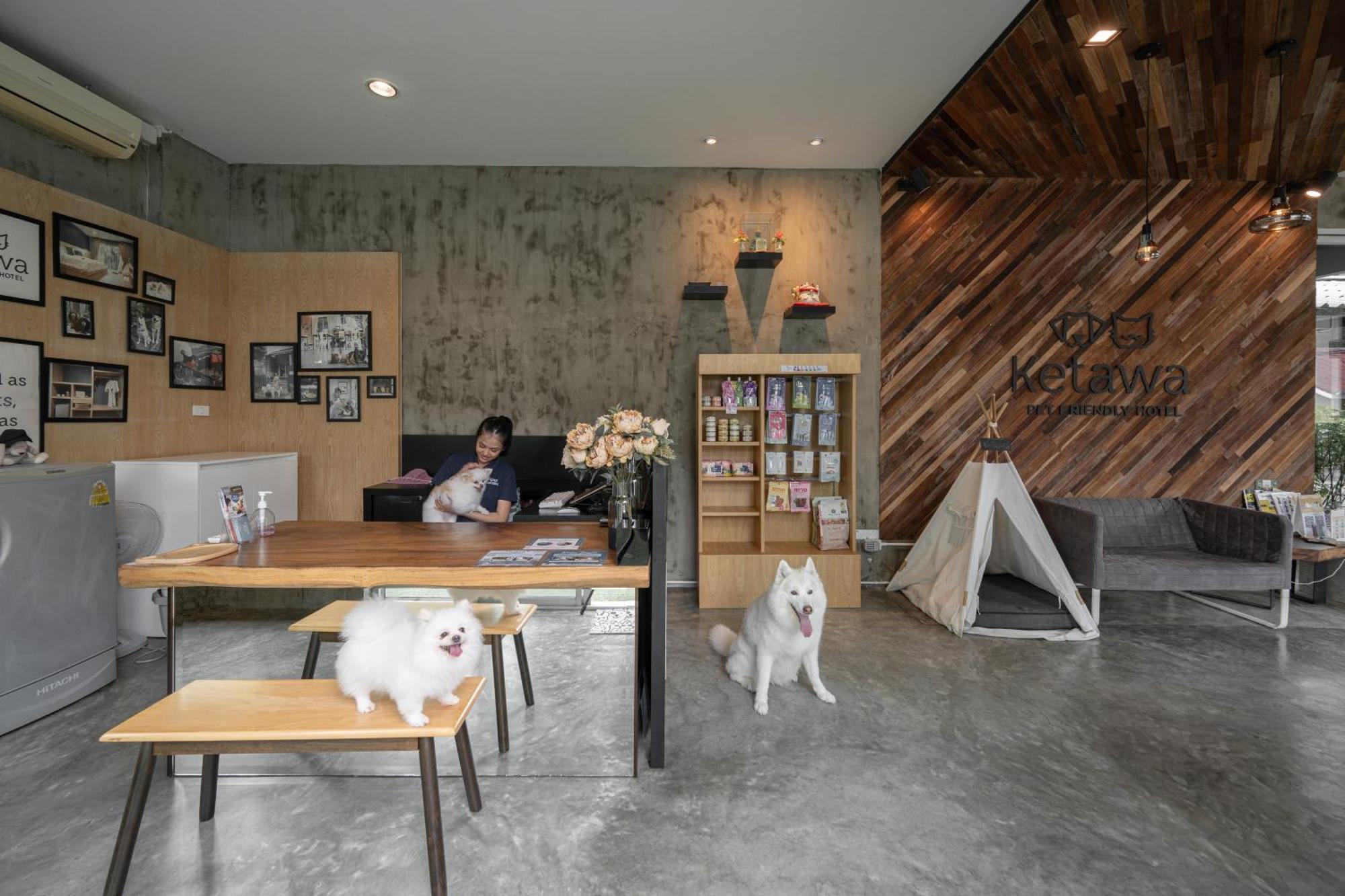 Ketawa Pet Friendly Hotel Chiang Mai Exterior foto