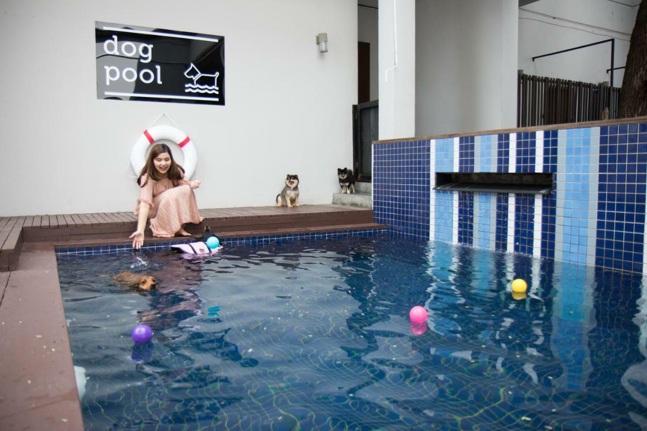 Ketawa Pet Friendly Hotel Chiang Mai Exterior foto